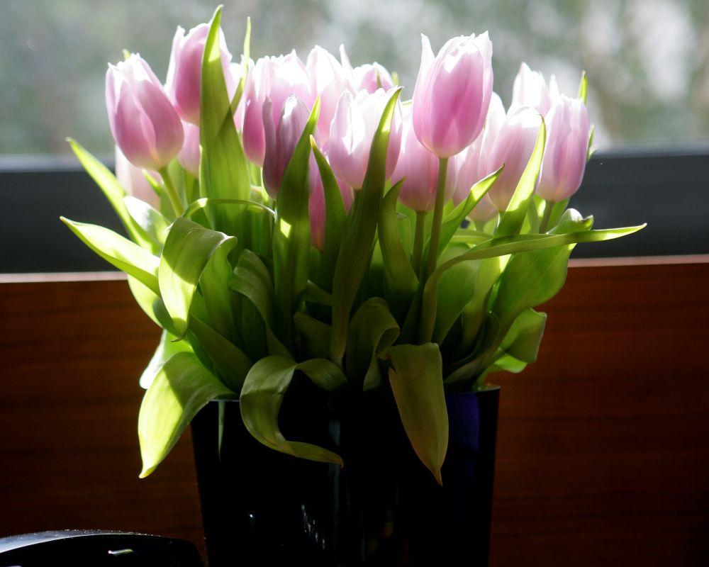 더 피츠윌리엄 호텔 더블린 외부 사진 Tulips
